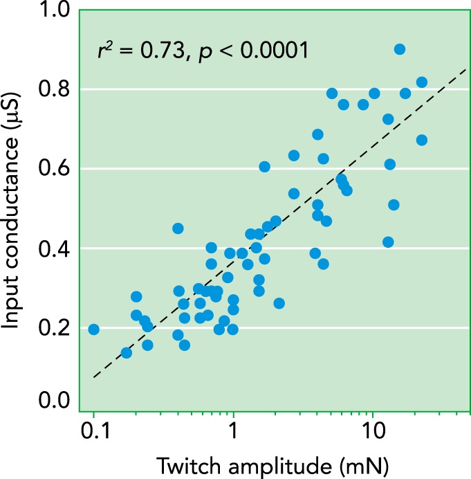 FIGURE 2.