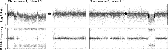 Figure 1