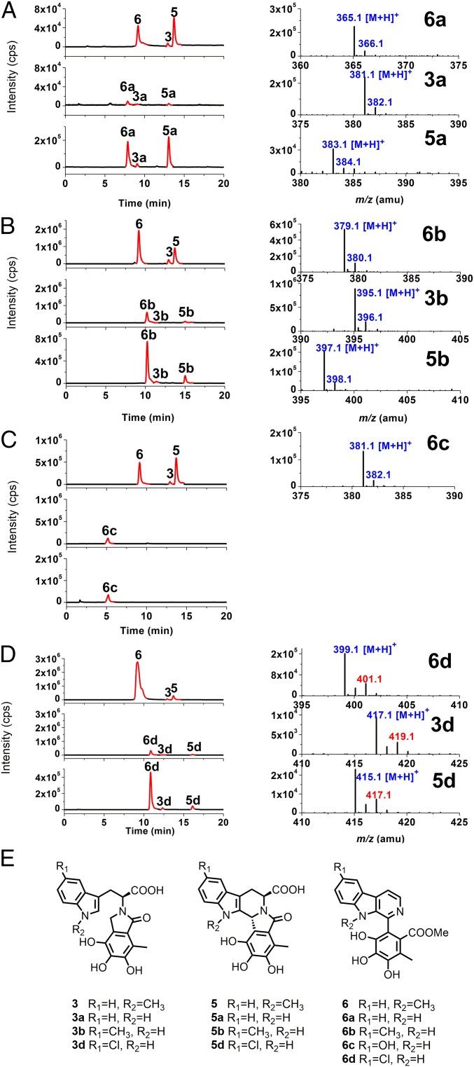 Fig. 5.