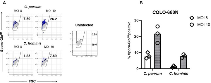 Figure 2