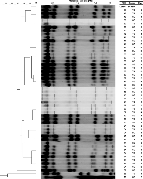 Fig. 1