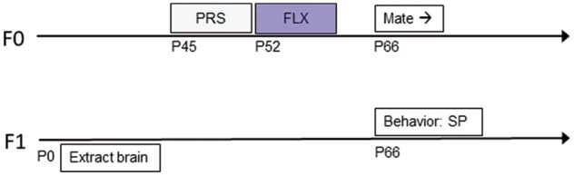 Figure 1: