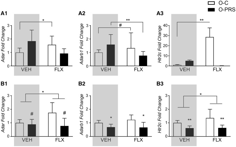 Figure 3: