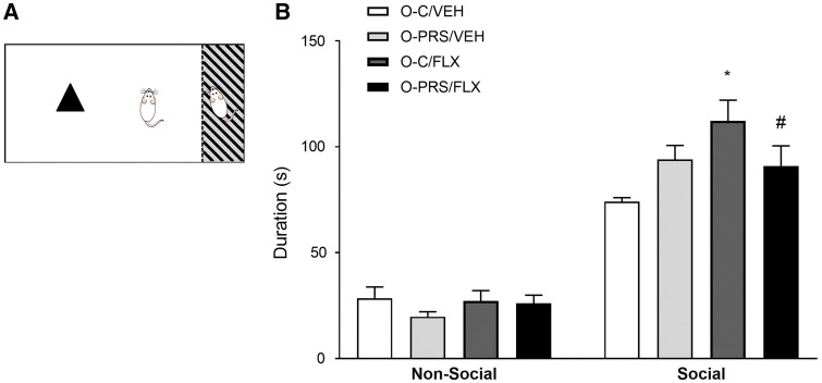 Figure 6: