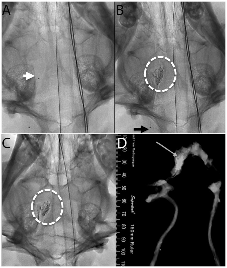 Figure 2.