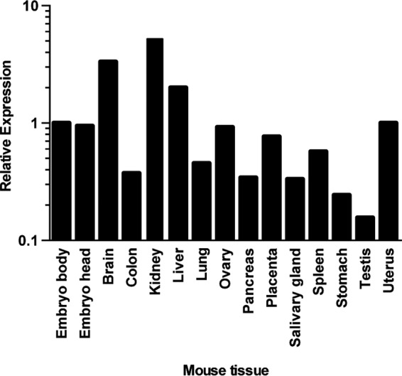 FIG 3