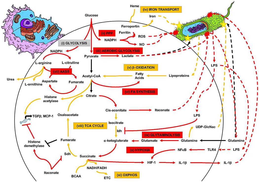 Figure 2: