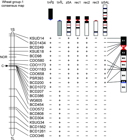 Figure 2.—