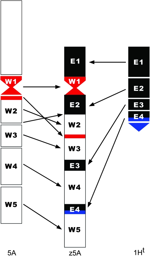 Figure 3.—