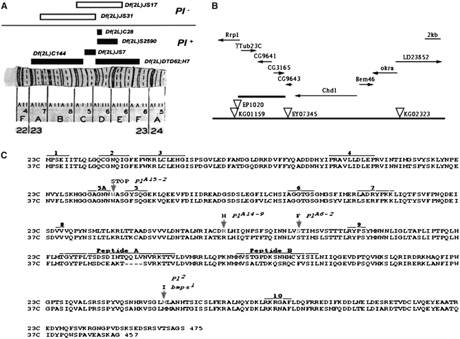 Figure 2.—