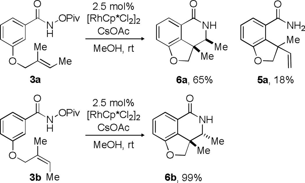 Scheme 5