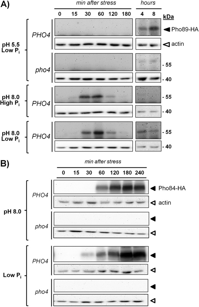 FIG 1