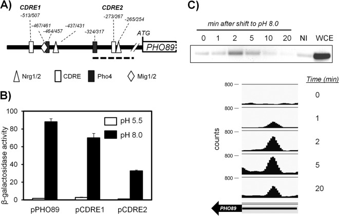 FIG 3