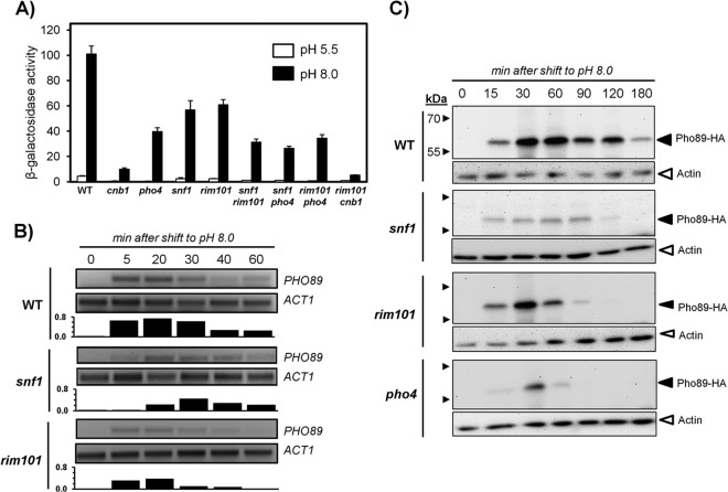 FIG 4