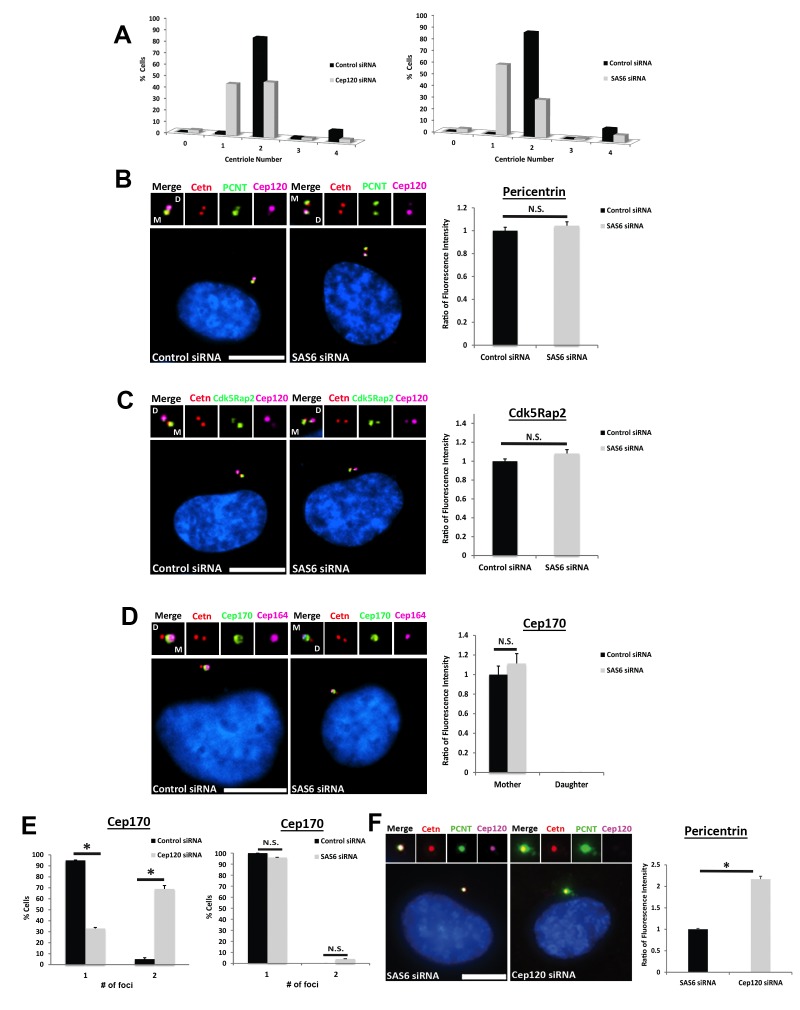 Figure 2—figure supplement 2.