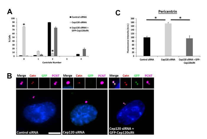 Figure 2—figure supplement 1.