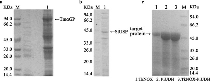 Fig. 2