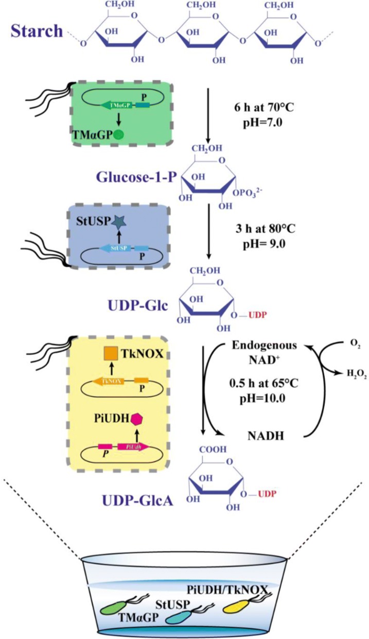 Fig. 3