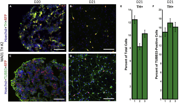 Figure 4