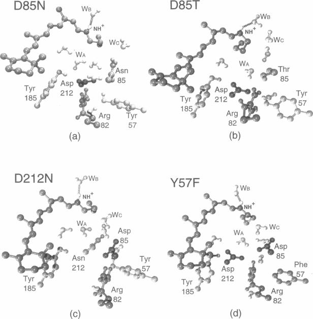 FIGURE 4