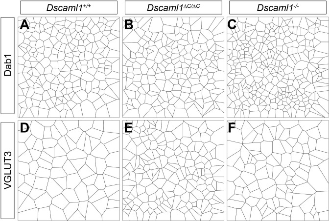 Figure 4—figure supplement 2.