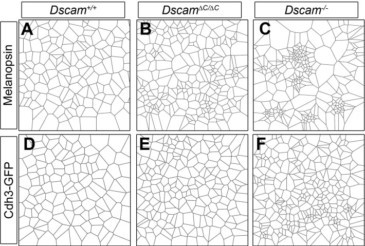 Figure 3—figure supplement 1.