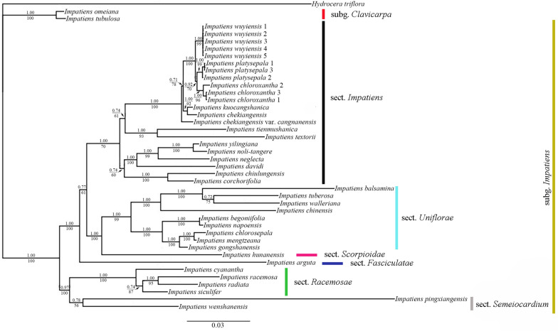 Fig. 3