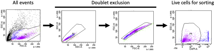 Figure 1