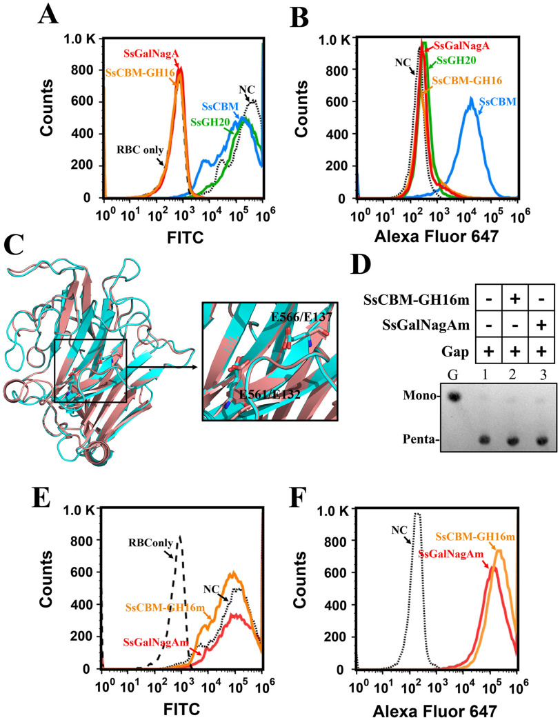 Figure 7.