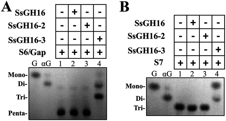 Figure 5.