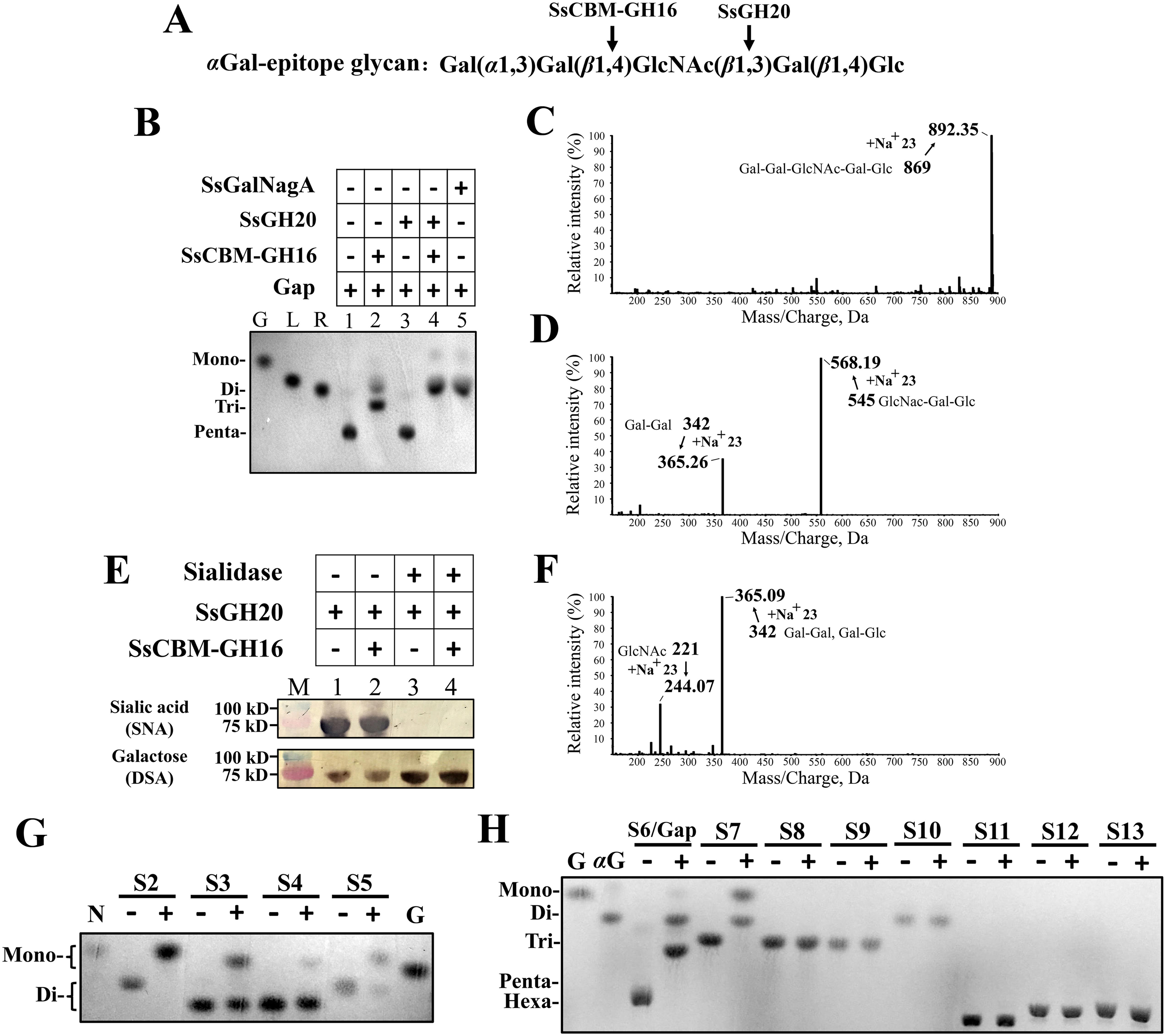 Figure 4.