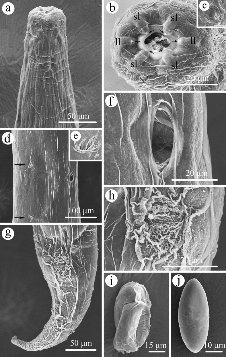 Fig. 3
