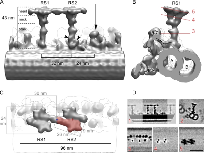 Figure 2.