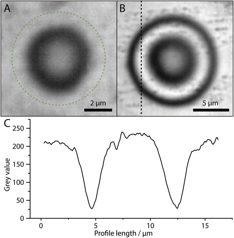 Fig. 5.