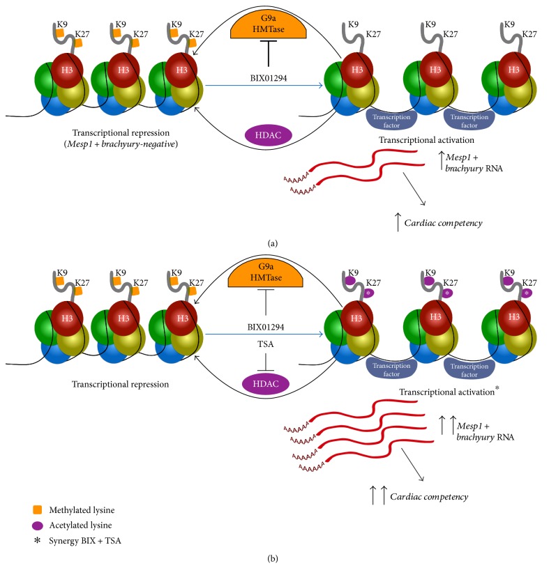 Figure 9