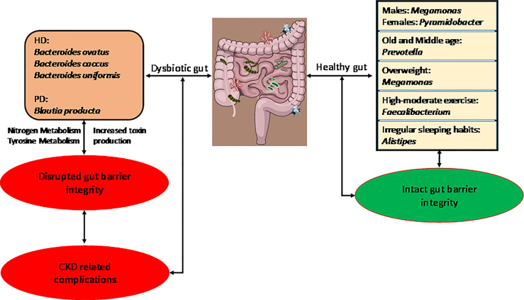 Graphical Abstract