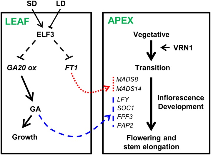 Figure 7.