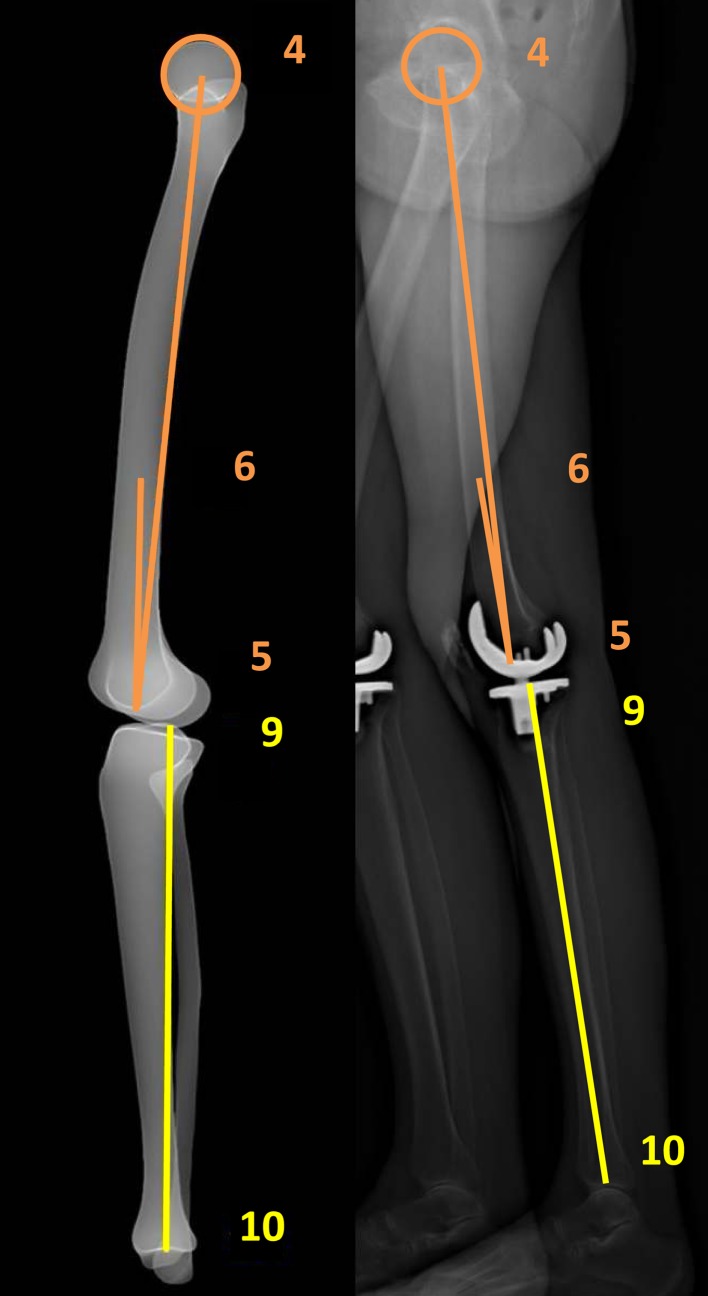 Fig. 7