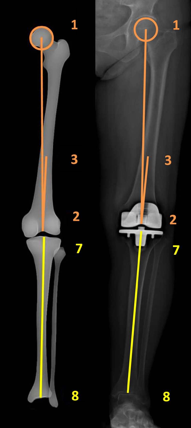 Fig. 6