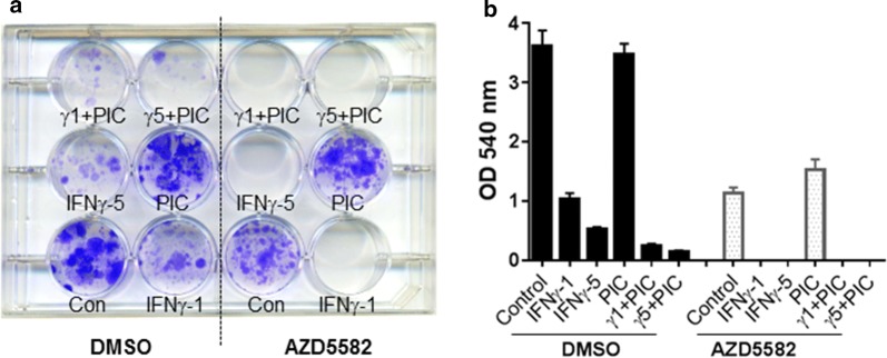 Fig. 3