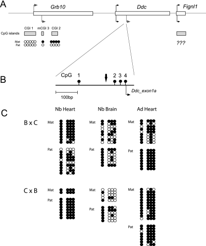 FIG. 7.