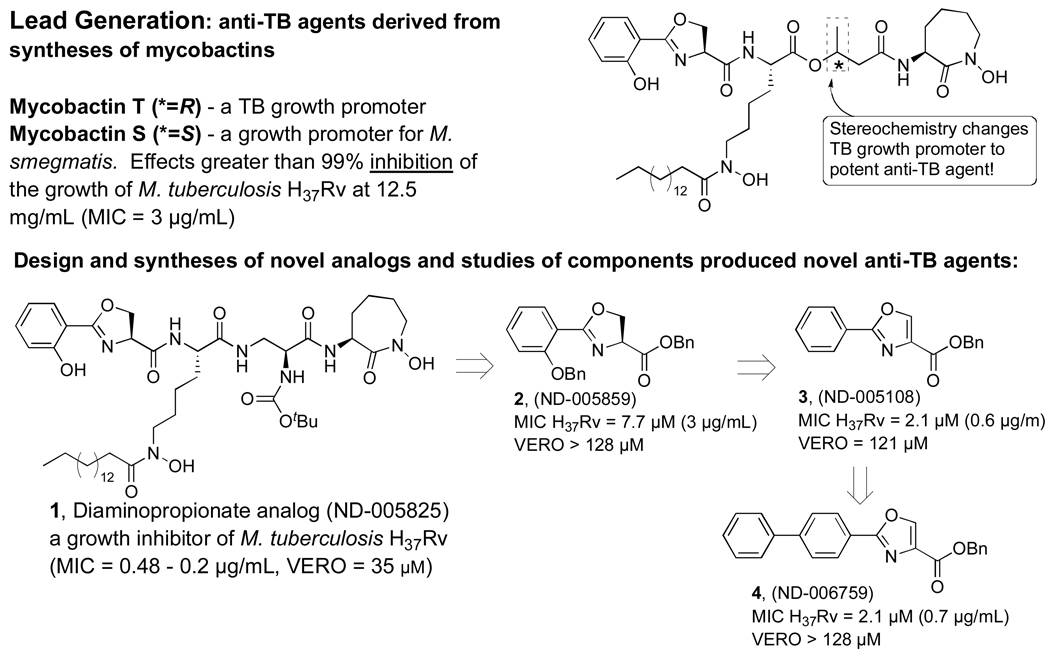 Scheme 2