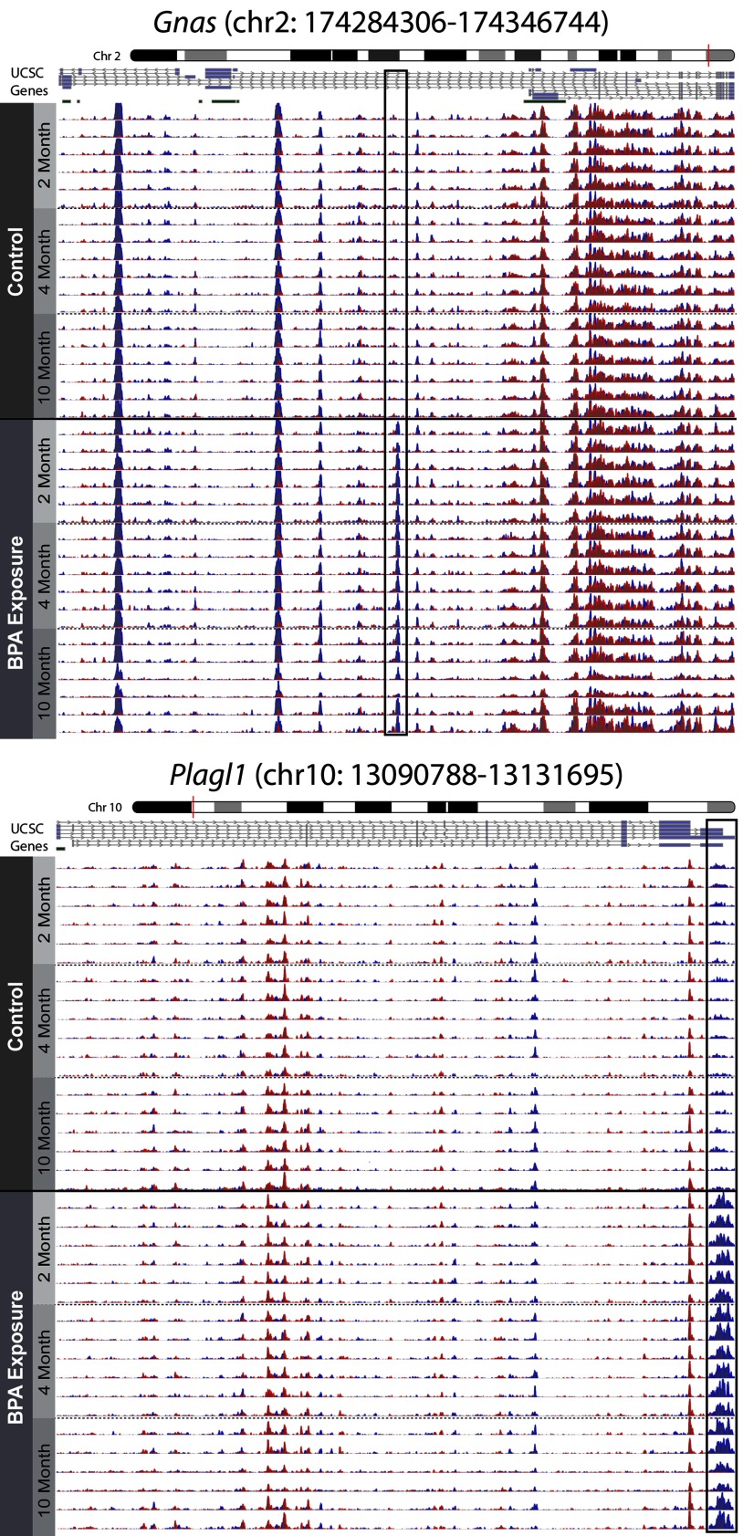 Two graphical representations of genomic context of Gnas and Plagl1 DHMRs