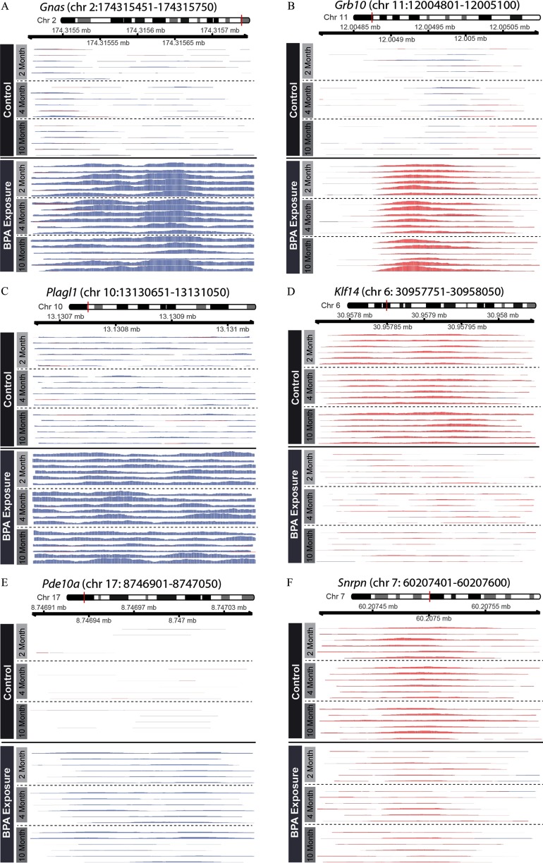 Figures 2A, 2B, 2C, 2D, 2E, and 2F are graphical representations of differential imprinted gene 5-hmC peaks by BPA exposure for Gnas, Grb10, Plagl1, Klf14, Pde10a, and Snrpn, respectively.