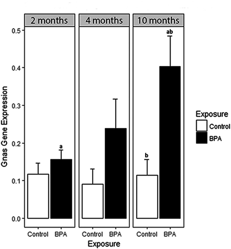 Bar graph plotting Gnas gene expression (y-axis) across exposure (x-axis) for control and BPA exposed mouse blood samples for 2, 4, and 10 months.