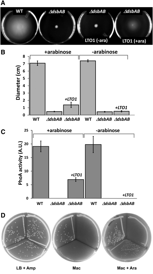 Figure 2.