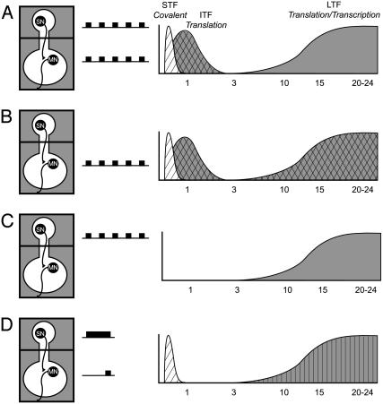 Fig. 5.