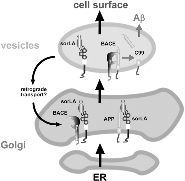 
Figure 9.
