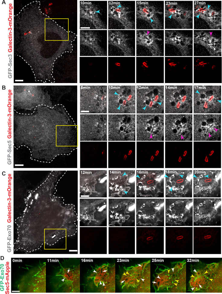 Fig 2