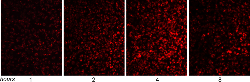 Fig. (2).